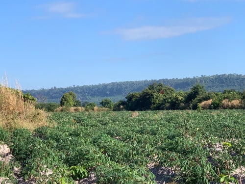 Land for sale