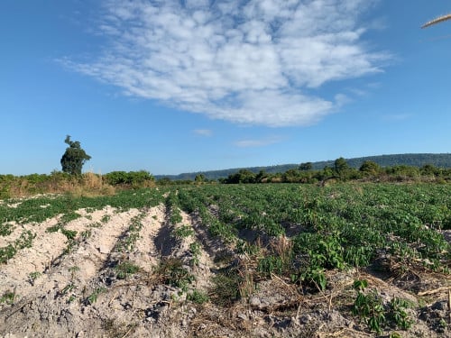 Land for sale