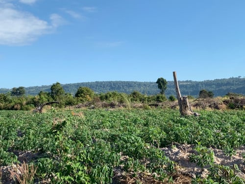 Land for sale