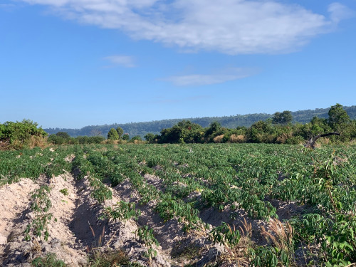 Land for sale