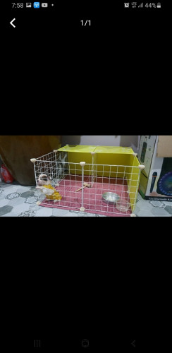 សម្ភារៈសត្វ