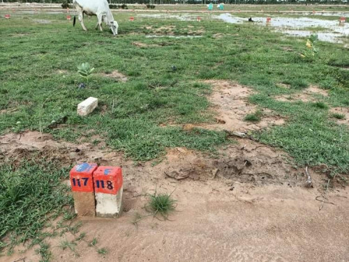 ដីពុះឡូតិ៍ភូមិធម្មជាតិ ក្រោយផ្សារបាត់ដឹង តំលៃថោកជាងទីផ្សារទិញពីម្ចាស់ផ្ទាល់