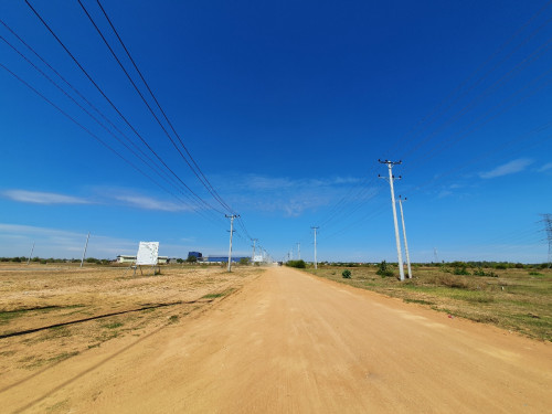 គមរងដផលវ51 រលស30ខ