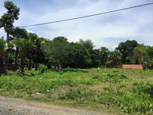 Land for sale