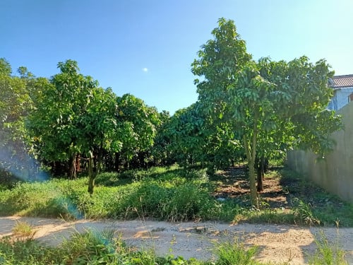 ដីលក់ នៅគៀនស្វាយក្រៅ(ម្ចាស់ផ្ទាល់)