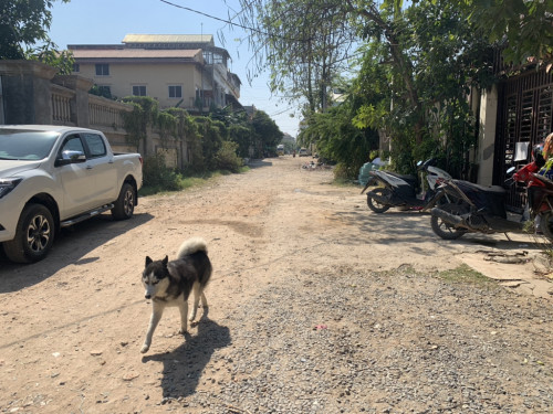 ផ្ទះលក់ ពីរល្វែង