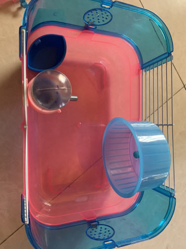 ផ្ទះhamster