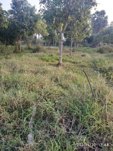 ដីសំរាប់លក់