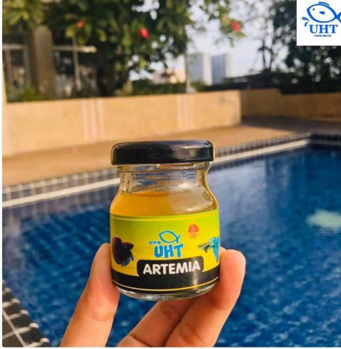 - - \ud83d\udc1fអាហារសំរាប់កូនត្រីបានមកដល់ហើយ។