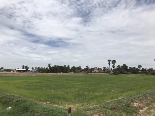 ដីលក់អង្គស្នូល