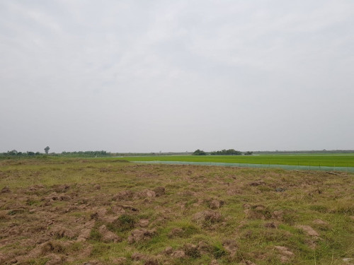 ដីសំរាប់លក់