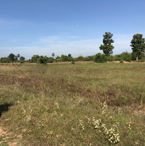 ដលកបនទនជតផលវថម ករវតករងទ៤