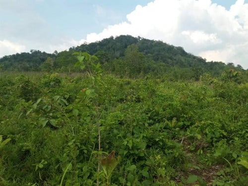 ស្រុកសំទ្បូត បាតតំបងធម្មជាតិ