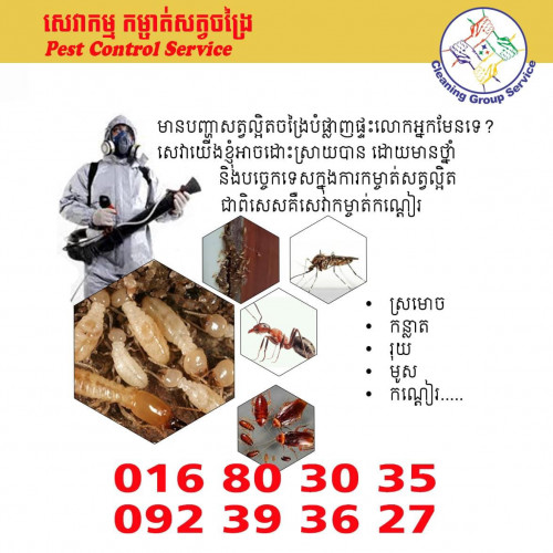 សេវាកម្ចាត់សត្វល្អិត