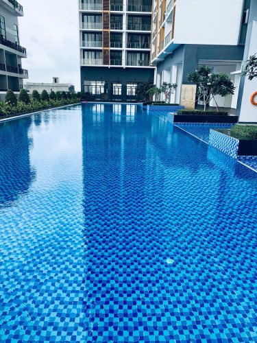 Brand New Condo for Rent in Skyline 1bed, Price $550/month