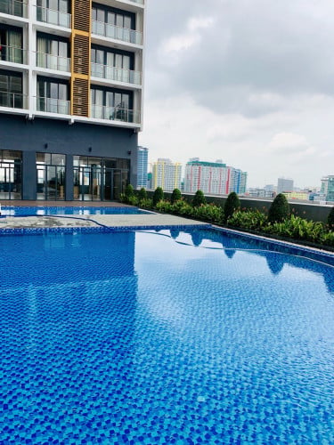 Brand New Condo for Rent in Skyline 1bed, Price $550/month