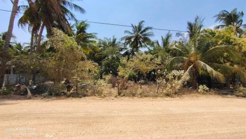 ដសមរបលក027