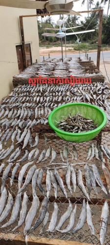 មានលក់រាយ & ដុំងៀតត្រីទន្លេធម្មជាតិខ្មែរស្នាដៃអ្នកសសៀមរប\ud83d\udcaf