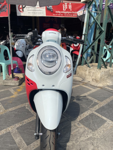 Scoopy 021