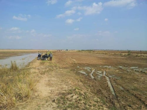 ដីលក់បន្ទាន់