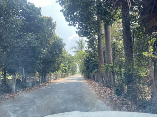 ដីរបស់នៅបឹងស្នោ