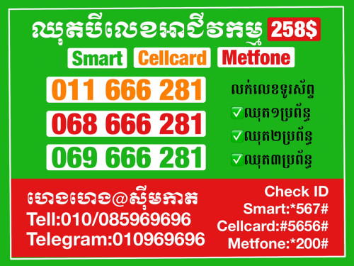 លេខទូរស័ព្ទស្អាតៗ ពិសេសសម្រាប់អាជីវកម្មរបស់អ្នក
