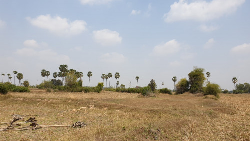 ប្រភេទដីស្រែ
