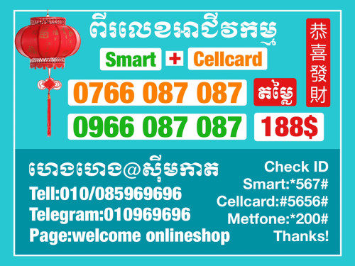 ពីរប្រព័ន្ធអាជីវកម្មស្មាតនិងសែលកាត ពិសេសសម្រាប់អ្នកបើកក្រុមហ៊ុន