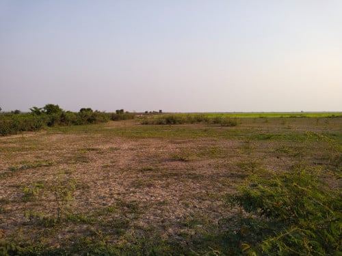 ដីលក់ដីលក់(ទំហំ40ហិចតា)