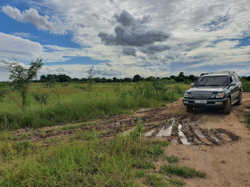 ដចករលក ករមទផសឆងយ