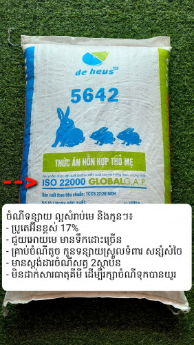 ចំណីទន្សាយ