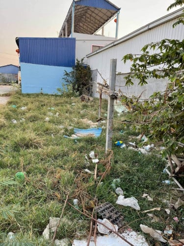 ដីលក់បែកចាន