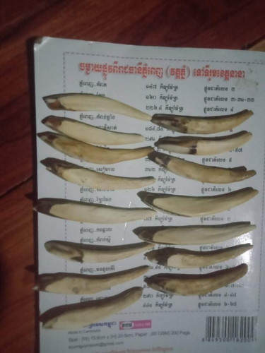 ខ្នាយតាន់ថ្មសំលៀង