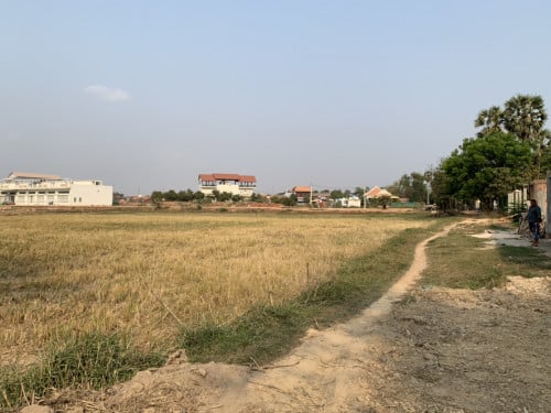 ដីលក់ក្នុងក្រុងសៀមរាប