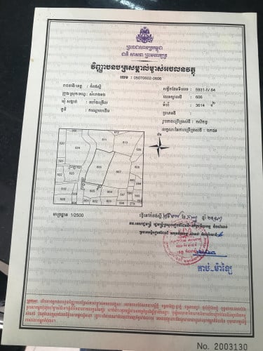 ដីស្រែលក់ប្រញ៉ាប់ក្បាល83ម៉ែត្រ​ ជម្រៅ ម្ខាង 41 តម្លៃ12.3$/m2