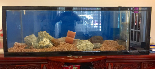 Aquarium Fish Tank