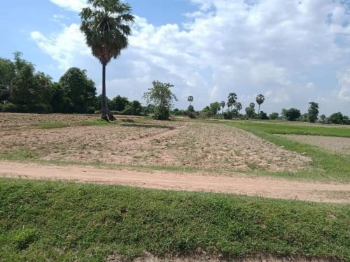 ដីស្រែលក់