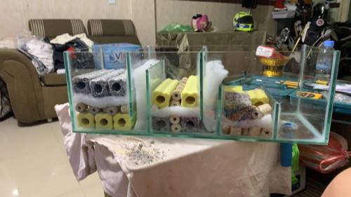 ចម្រោះធ្វេីអោយទឹកថ្លា