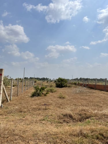 ដីលក់ 120m2 ជាប់ផ្លូវរដ្ឋ 30ម៉ែត្រ