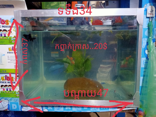 លក់ទូរកញ្ចាក់ត្រី.កញ្ចាក់ក្រាស់.រឹង.ធន់.ថែមត្រី