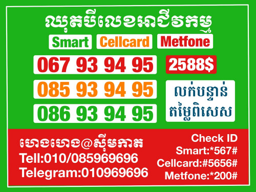 ឈុតVIPអាជីវកម្ម លក់បន្ទាន់ តម្លៃពិសេស