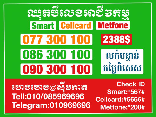 ច្រើនលេខច្រើនជម្រើស ពិសេសសម្រាប់អាជីវកម្មគ្រប់ប្រភេទ