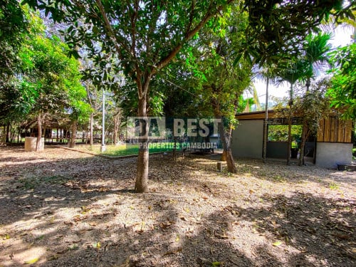 DABEST PROPERTIES: Land for Sale in Siem Reap-Svay Dangkum/ដីលក់ក្នុងក្រុងសៀមរាប