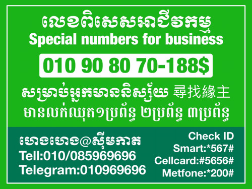 ស្មាតក្បាល010ស្អាតសម្រាប់អាជីវកម្មរបស់អ្នក
