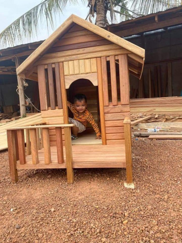 ផ្ទះឆ្កែ ឆ្មា
