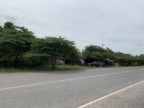 ដីលក់1mដើរ $ ចរចា