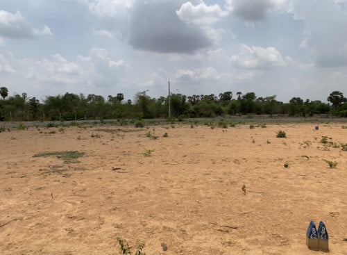 ដីលក់ ឬវៃដូរជាមួយឡានបាន Prius ឬ បាឡែន Highlander