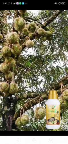 បងប្អូនអាចកម្មង់បាន