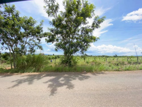 ដីលក់ប្រញាប់ ជាប់ផ្លូវថ្នល់កៅស៊ូ ស្រុកភ្នំស្រួច តាកែនកោះស្លា កំពង់ស្ពឺ