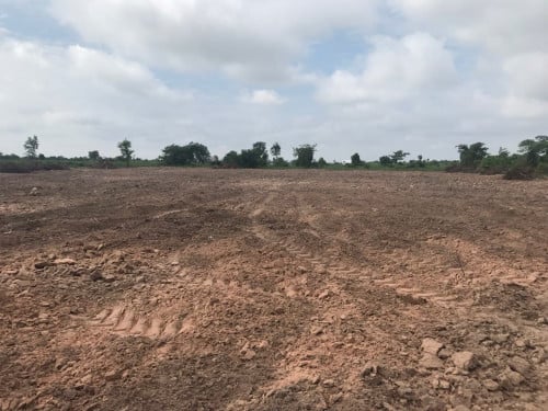 ដីចំការមានហំព័ទ្ធរបងរួចរាល់អាចធ្វើជា Resort, កសិដ្ឋាន បាន​ ទំហំ 23281 m² លក់ក្នុងតំលៃពិសេស